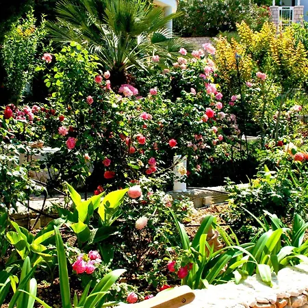 In Mit Schoenem Garten